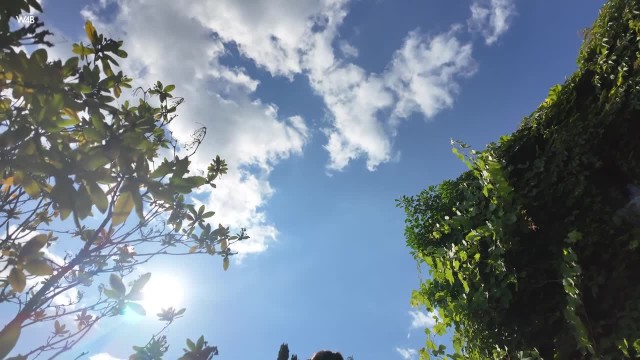Скриншот 3